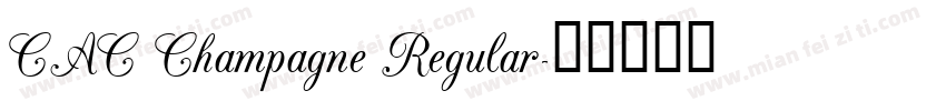 CAC Champagne Regular字体转换
